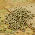 Hot selling hemp seed for sale Maximum demand